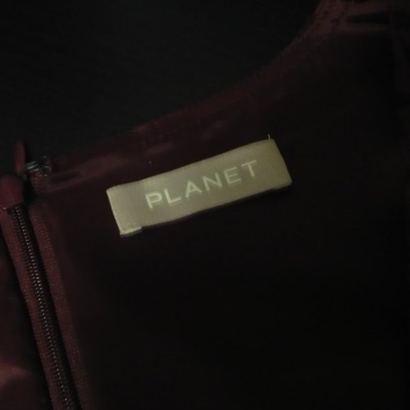 Luxurious Pomegranate Red Houndstooth Velvet Burnout Midi Shift Dress - Picture 8 of 9